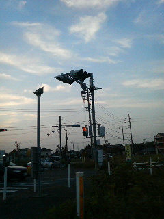 写真は夕方