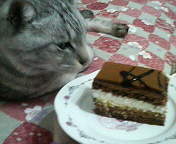 ケーキ