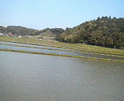 (田園)