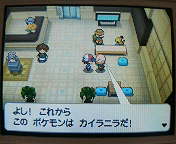 (untitled)