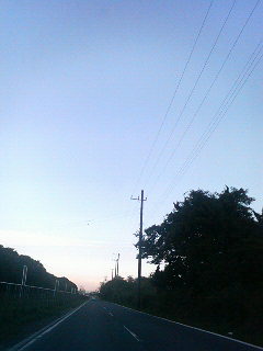 (untitled)