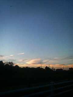 (untitled)