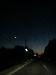 (untitled)