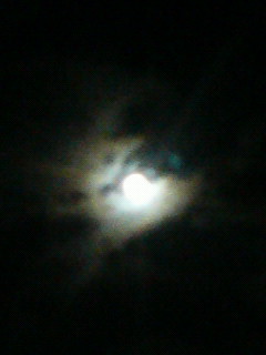 (untitled)