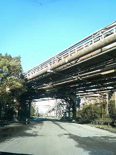 去年の写真