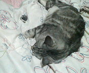 (untitled)