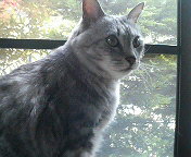 (untitled)