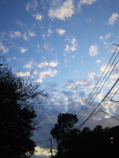 (untitled)