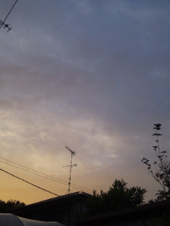 (untitled)