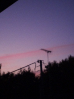(untitled)