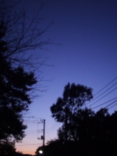 (untitled)