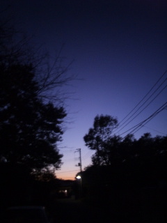 (untitled)
