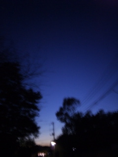 (untitled)