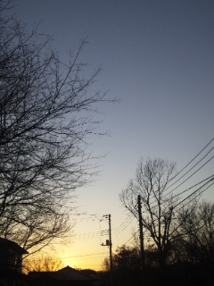 (untitled)