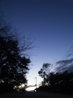 (untitled)