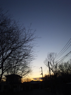 (untitled)