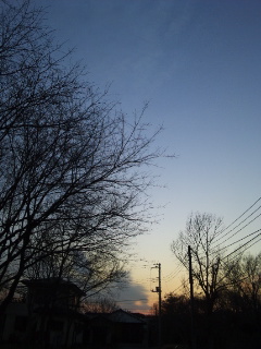 (untitled)