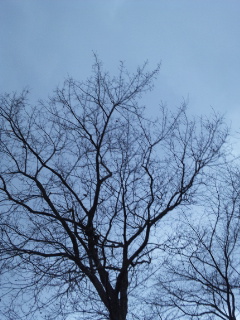 (untitled)