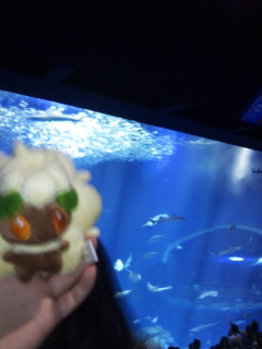 (untitled)
