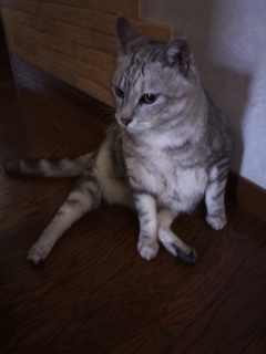 (untitled)