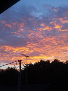 (untitled)