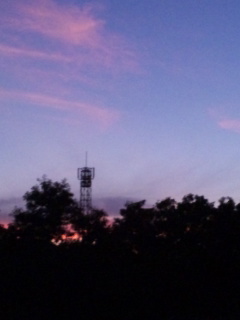 (untitled)