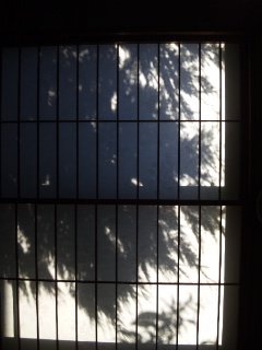 (untitled)
