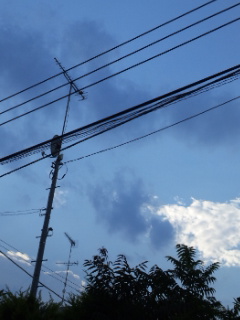 (untitled)