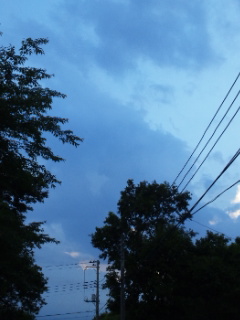 (untitled)