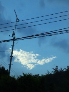 (untitled)