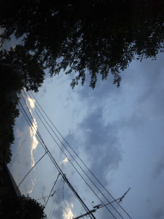 (untitled)