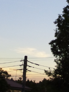 (untitled)