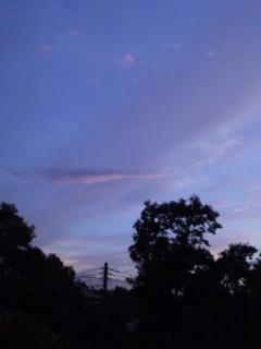 (untitled)
