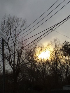 (untitled)