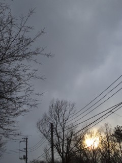(untitled)