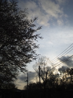 (untitled)