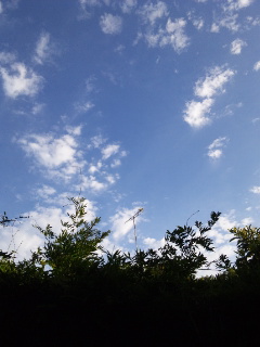 (untitled)