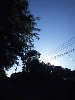 (untitled)