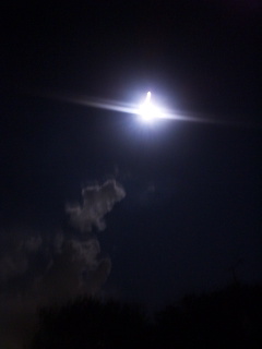(untitled)