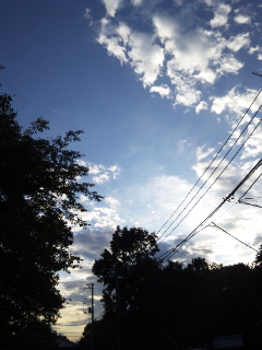 (untitled)