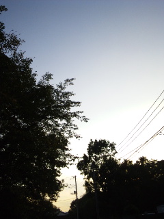 (untitled)