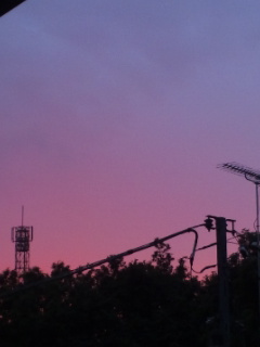 (untitled)