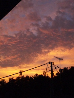 (untitled)