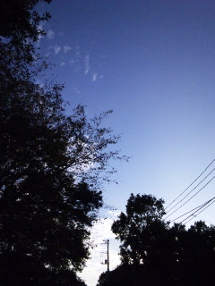 (untitled)