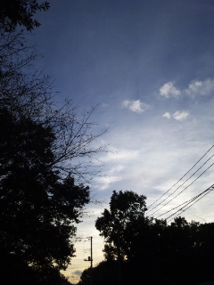 (untitled)
