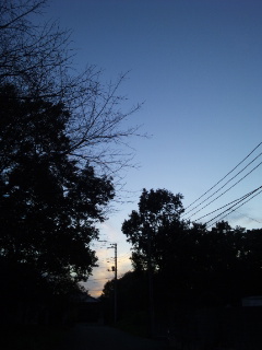 (untitled)