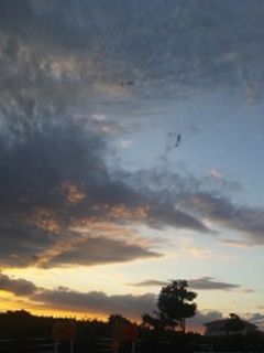 (untitled)