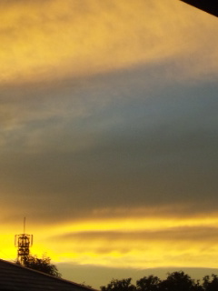 (untitled)