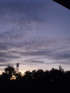 (untitled)
