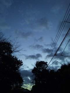 (untitled)